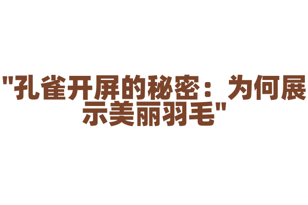 "孔雀开屏的秘密：为何展示美丽羽毛"